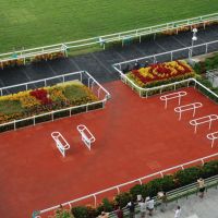 Singapore Turf Club - winner's circle